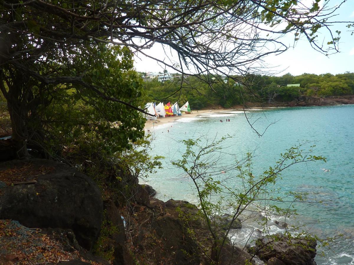 Cottage La Pointe Marine Deshaies Buitenkant foto